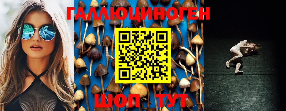 где можно купить наркотик  Галлюциногенные грибы Cubensis  Вход с VPN  Псилоцибиновые грибы ЛСД  Сатка 